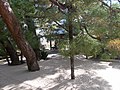 A sand garden in Shōrinzen-ji 少林禅寺の砂庭