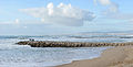 ◆2013/01-20 ◆Category File:Caparica December 2012-4.jpg uploaded by Alvesgaspar, nominated by Alvesgaspar