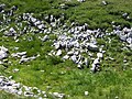 Rocks on Schneeberg