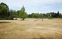 Pelouse dans le Jardin des plantes de Lille