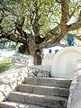 Tomb of Rabbi Tarfon