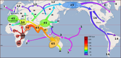 Version in Mercator projection, with more detailed depiction of H. sapiens expansion (omitting pre-sapiens distribution)