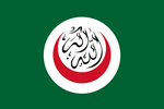 Organization of Islamic Cooperation (from 1981)