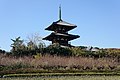 Hokiji / 法起寺 (World Heritage Site)