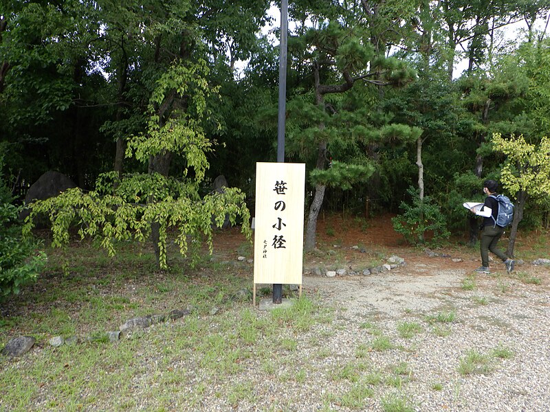 File:Bamboo path.jpg