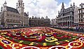 Floral carpet on the Grand Place