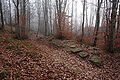 Rests of the roman military road Via Flaminia Minor