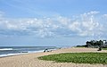 * Nomination Uthandi Beach, view south. Pink sand verbena. Chennai, --Tagooty 03:19, 17 August 2021 (UTC) * Decline  Oppose Sorry! Not sharp enough. --Steindy 21:48, 17 August 2021 (UTC)