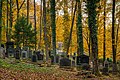 Waibstadt - Jüdischer Friedhof - neuer Teil - Ansicht von NO 1