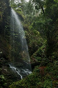 Cascada de Los Tilos La Palma