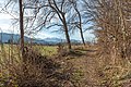 * Nomination Hiking trail on Quellweg in Winklern, Pörtschach, Carinthia, Austria -- Johann Jaritz 03:48, 13 January 2020 (UTC) * Promotion  Support Good quality. --XRay 05:02, 13 January 2020 (UTC)  Support Good quality. --Basile Morin 05:02, 13 January 2020 (UTC)
