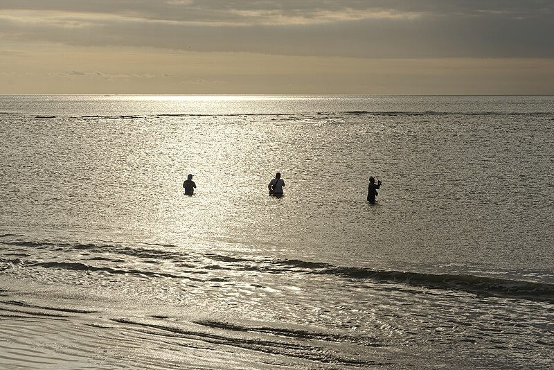 File:Wędkarze na plaży w Kucie, Bali, 20220827 1705 1207.jpg