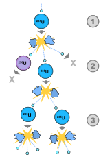 Fission chain reaction