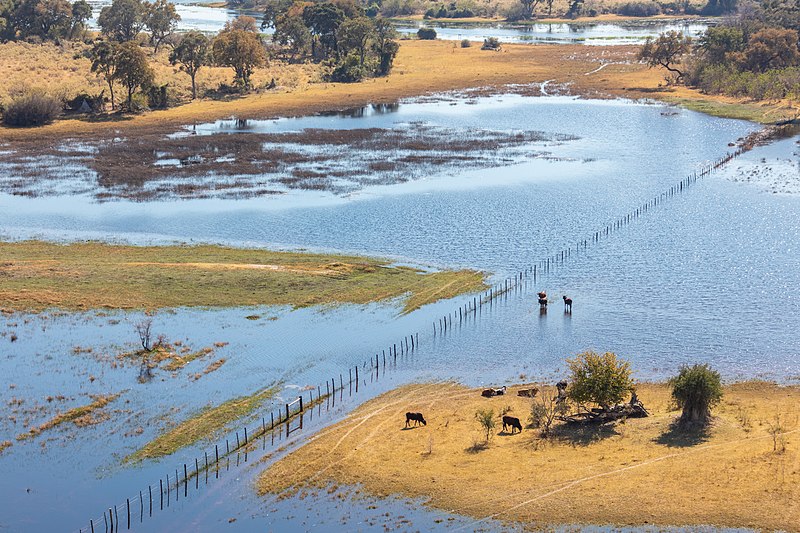 File:Vista aérea del delta del Okavango, Botsuana, 2018-08-01, DD 46.jpg