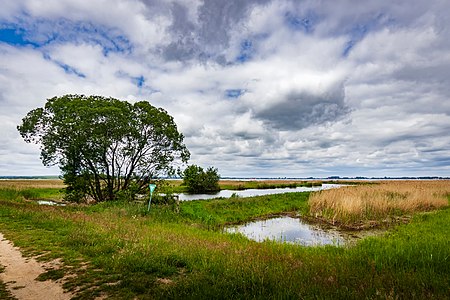 Naturpark Dümmer