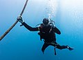 * Nomination Diego Delso diving in Madeira, Portugal --Poco a poco 10:13, 28 February 2020 (UTC) * Promotion  Comment How did you take the photo if the diver is you? --Kallerna 19:13, 28 February 2020 (UTC) Asking my dive buddy to take it and grant me the rights of the image --Poco a poco 19:41, 28 February 2020 (UTC) Ok. --Kallerna 02:51, 29 February 2020 (UTC)