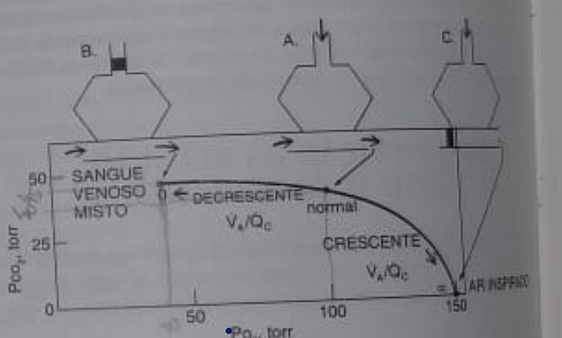 File:Fig 3. Diagrama.jpg