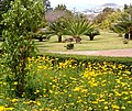 Botanical Garden, Madeira (Portugal)