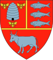 Vaslui county