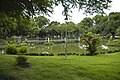 Japanese Garden (Rizal Park)