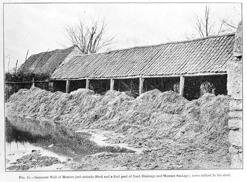 File:An undesirable cowshed and surroundings, 1912. Wellcome M0013640.jpg