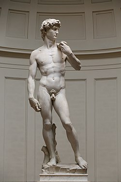 'David' by Michelangelo Fir JBU005.jpg