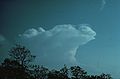 Cumulonimbus