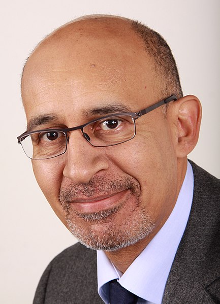 File:Harlem Désir 01.JPG