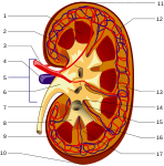 صورة SVG جديدة