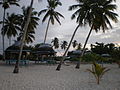 Falealupo beach fale, tourist huts, Savai'i