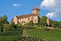 Oberstenfeld - Burg Lichtenberg - Ansicht von WSW (2)