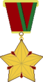 1996–1999 proposed medal (no source)