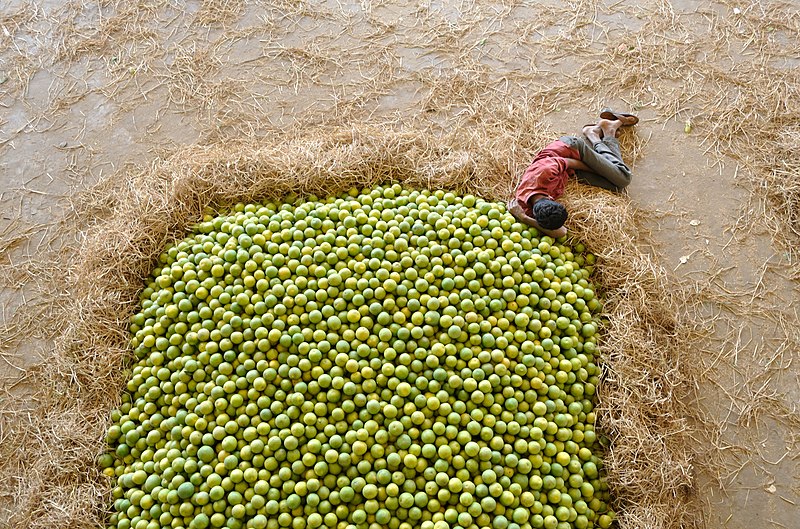 File:Kothapet Fruit Market.jpg