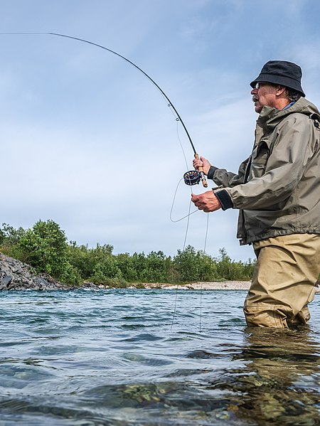 File:Norwegen Børselva Flyfishing P1290586.jpg