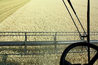 Combine view from the cabin