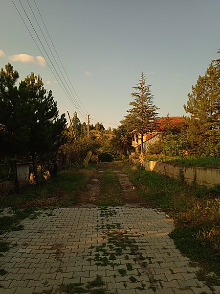 File:Village's road.jpg