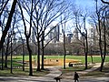 Baseball field in Central park