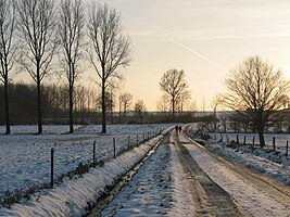 Rue de Lombisœul in Thoricourt, Belgium.