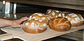 Freshly baked bread loaves