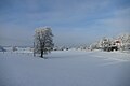 * Nomination Winter in Zell - looking from the crossing of Adalbert-Stifter-Ring and Rößlstraße towards Hohenschäftlarn --Kritzolina 10:41, 13 January 2024 (UTC) * Promotion  Support Good quality. --GoldenArtists 19:24, 13 January 2024 (UTC)
