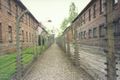 Auschwitz in 2001