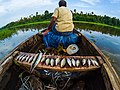 * Nomination Fishing is both a part of living and hobby for people along the banks of the Chalakudy RiverIBy User:Jan J George --Eatcha 03:49, 13 January 2020 (UTC) * Decline  Oppose Insufficient quality. Sorry. Crop at the top should have more space, CAs. --XRay 05:03, 13 January 2020 (UTC)