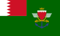Flag of the Bahraini Defence Force.