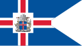 Presidential flag of Iceland (staff of iron)