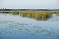 * Nomination: The delta of Kokemäki river in Meri-Pori, Finland. --Kallerna 08:01, 11 August 2021 (UTC) * * Review needed