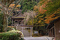 Kinpu Shrine / 金峯神社 (World Heritage Site)