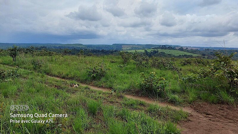 File:Plaine entre le village de Tchounga et celui de PLM.jpg