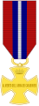 Gold medal (back)