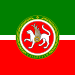 Standard of the President of the Republic of Tatarstan, Russian Federation (possibly a mythical representation)