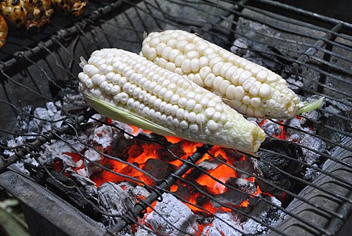 Image of a pair of two corns roasting on the coals